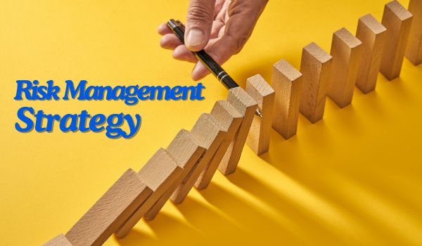 Risk Management Strategy