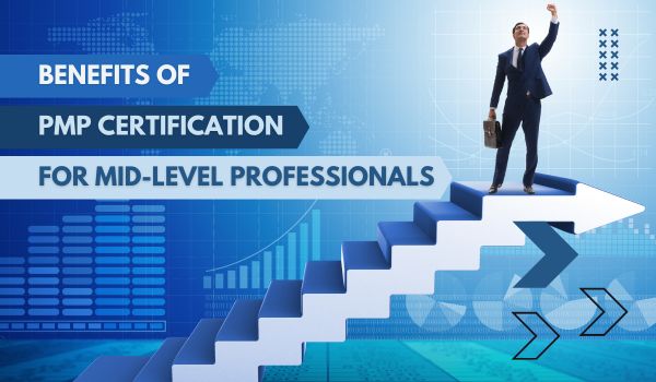 Mid-level professional with PMP certification